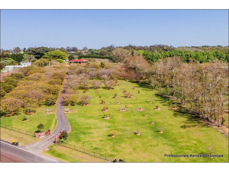 Third view of Homely house listing, 22-42 Holt Road, Tamborine Mountain QLD 4272
