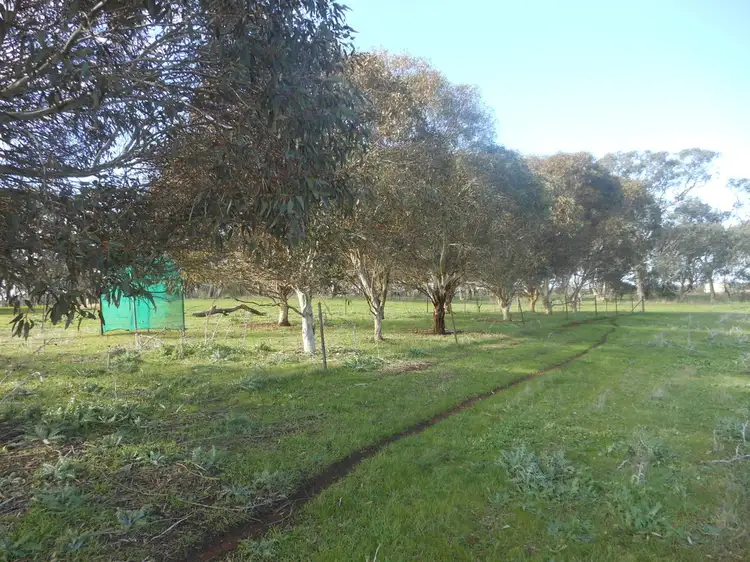 Fifth view of Homely house listing, 240 Boundary Road, Young NSW 2594