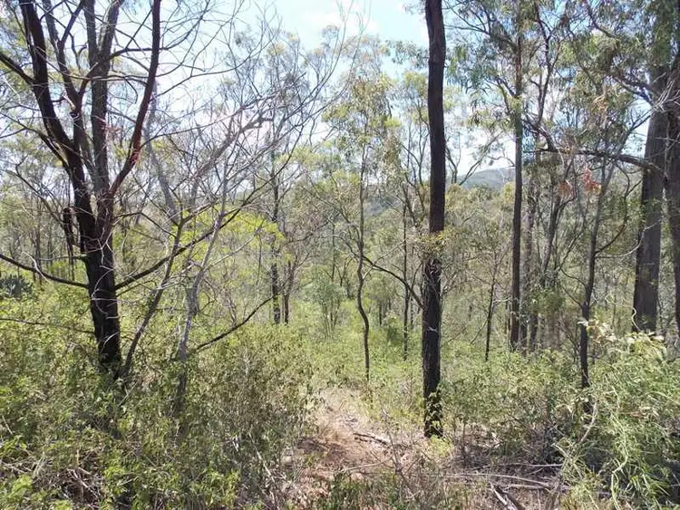 Third view of Homely land listing, L21 Saddle Tree Creek Road, Maidenwell QLD 4615