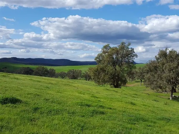 Second view of Homely rural property listing, 3142 Lue Road, Mudgee NSW 2850