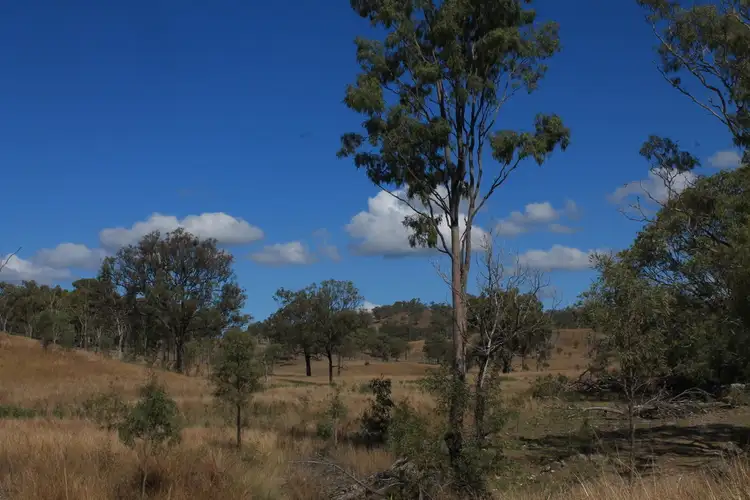 Seventh view of Homely rural property listing, 2592 Gin Gin Mt Perry rd, New Moonta QLD 4671