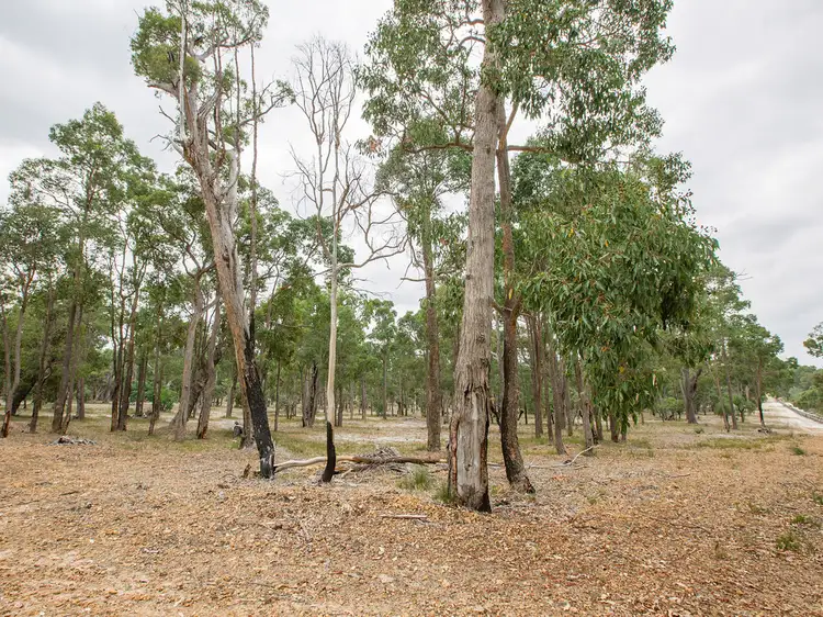 Fourth view of Homely rural property listing, Lot 14 Reaper Road, Cardiff WA 6225