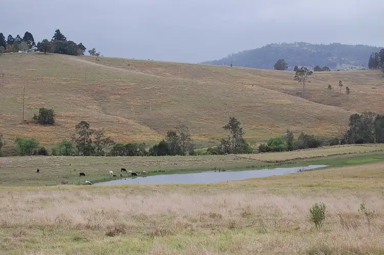 Seventh view of Homely rural property listing, 12703 Clarence Way, Tunglebung NSW 2469