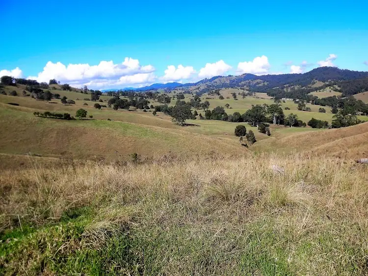 Sixth view of Homely rural property listing, 137 Wallanbah Road, Gloucester NSW 2422