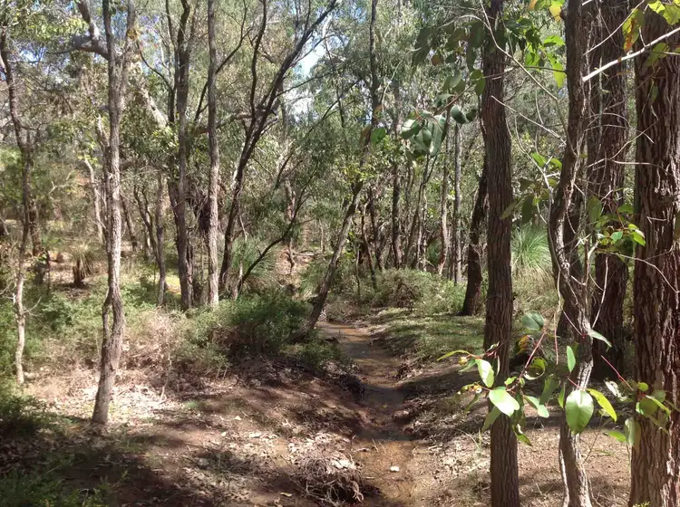 Seventh view of Homely land listing, Lot 97 (62) Ridgeway Drive, Quedjinup WA 6281