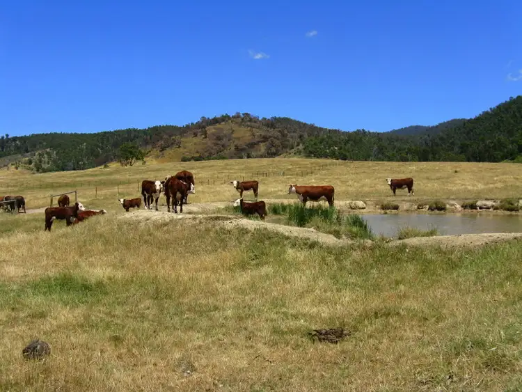 Sixth view of Homely land listing, "Kelly's" Omeo Valley Road, Omeo VIC 3898