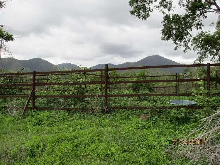 Fifth view of Homely rural property listing, 412 Kurkowski Road, Proserpine QLD 4800