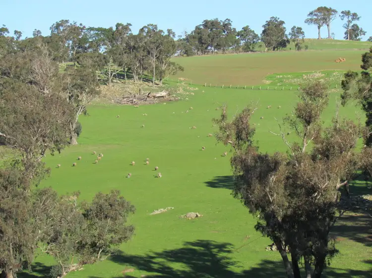 Seventh view of Homely rural property listing, Lot 733 Winnejup Road, Mayanup WA 6244