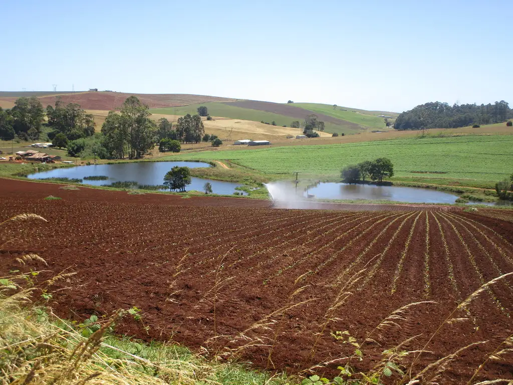 Main view of Homely rural property listing, 605 Castra Road, Abbotsham TAS 7315