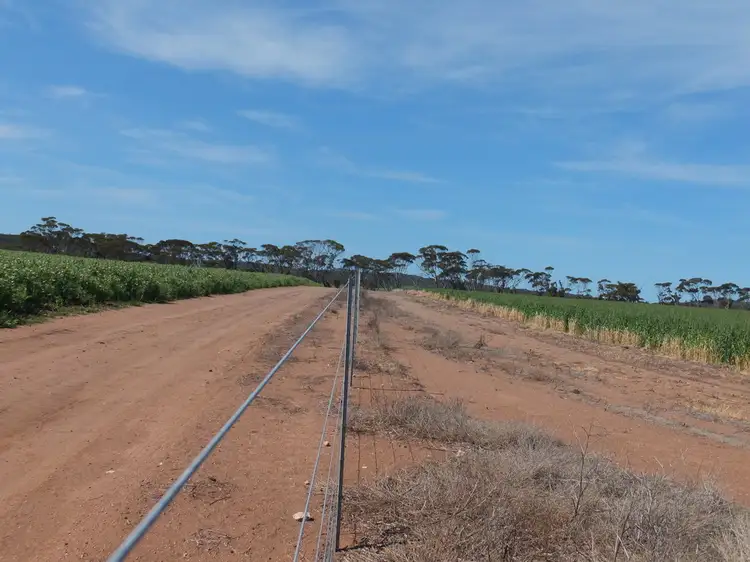 Sixth view of Homely land listing, Lot 1393 South Coast Highway, Ravensthorpe WA 6346