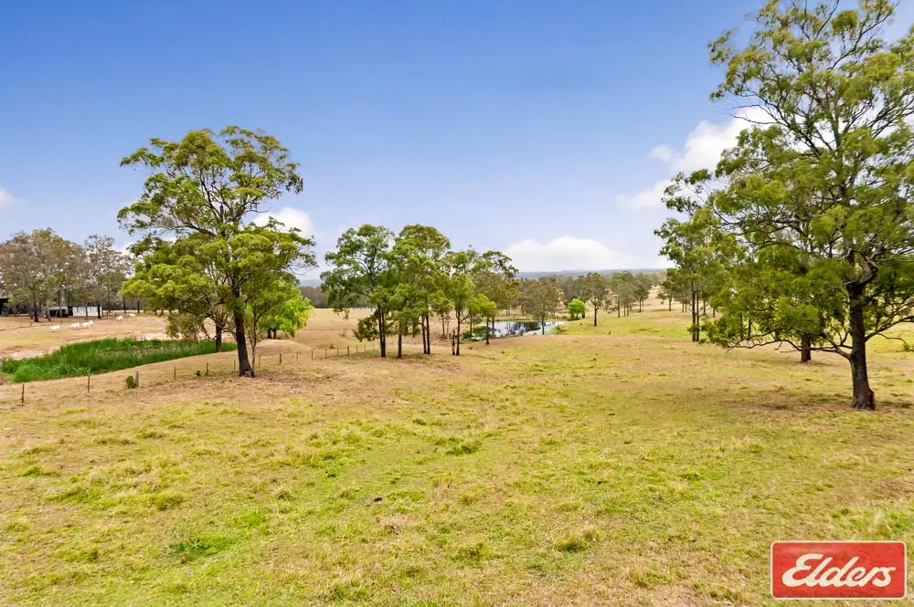 Main view of Homely house listing, 705 Cut Hill Road, Cobbitty NSW 2570