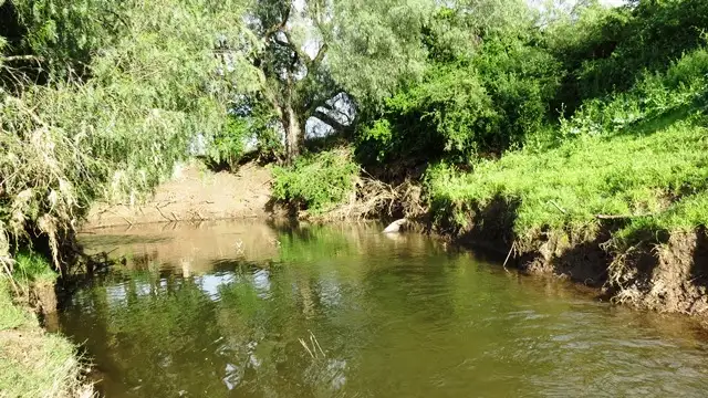 Sixth view of Homely rural property listing, "Moorabool" New England Highway, Scone NSW 2337