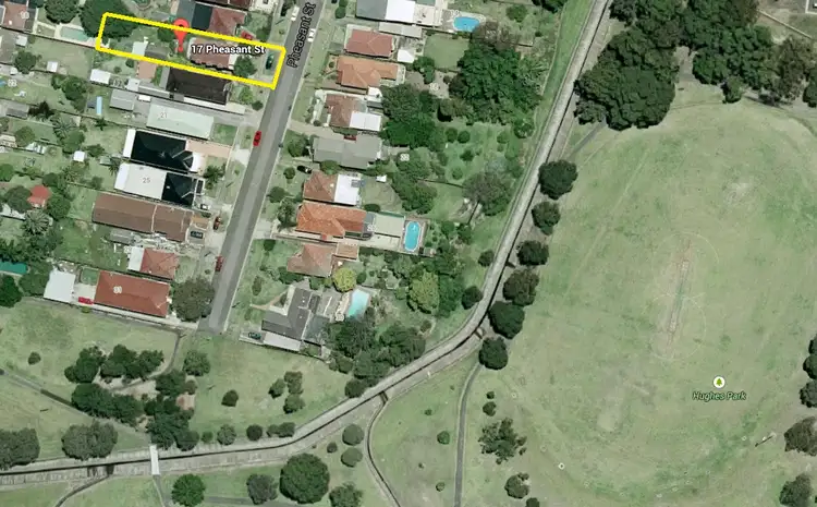 17 Pheasant Street, Canterbury NSW 2193