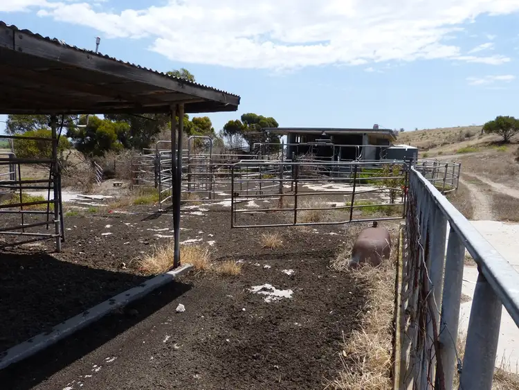 Sixth view of Homely rural property listing, 8306 Princes Hwy, Tailem Bend SA 5259