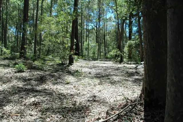 Sixth view of Homely land listing, 48 Denise Drive, Lilli Pilli NSW 2536