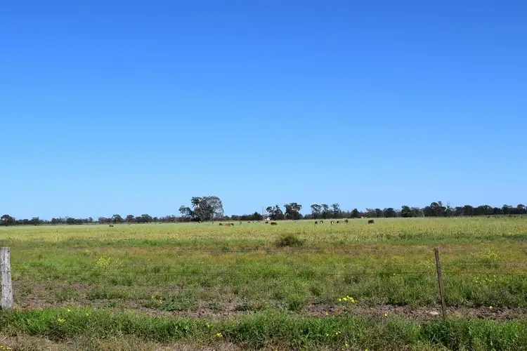 " Lee Three ", Meandarra QLD 4422
