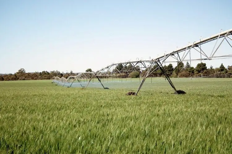 Farm 2368 West Road, Lake Wyangan NSW 2680