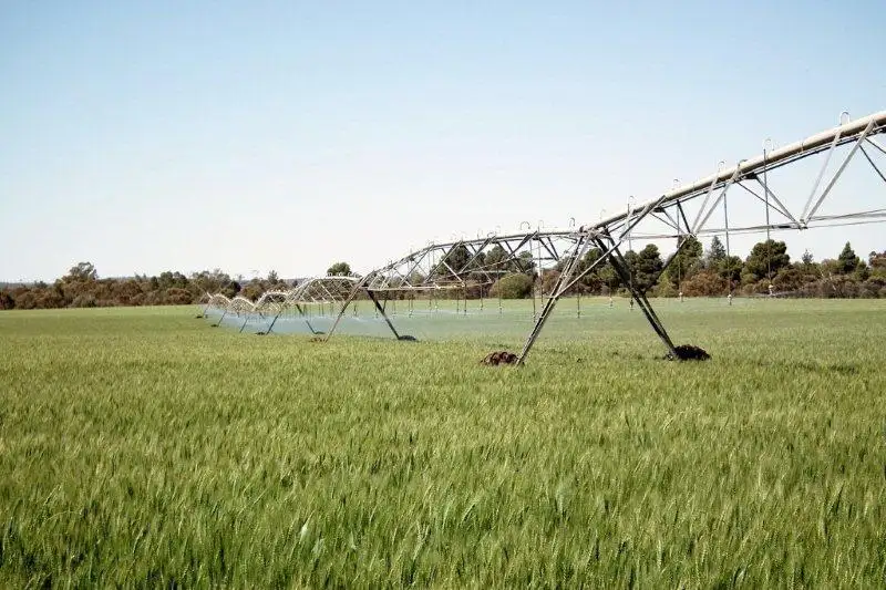 Main view of Homely rural property listing, Farm 2368 West Road, Lake Wyangan NSW 2680