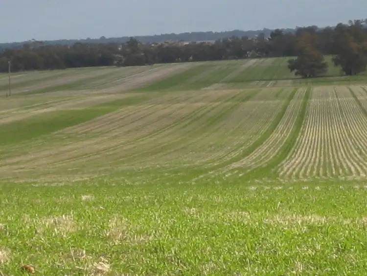 Third view of Homely rural property listing, "Flynns" and "Fork Log", Goolgowi NSW 2652