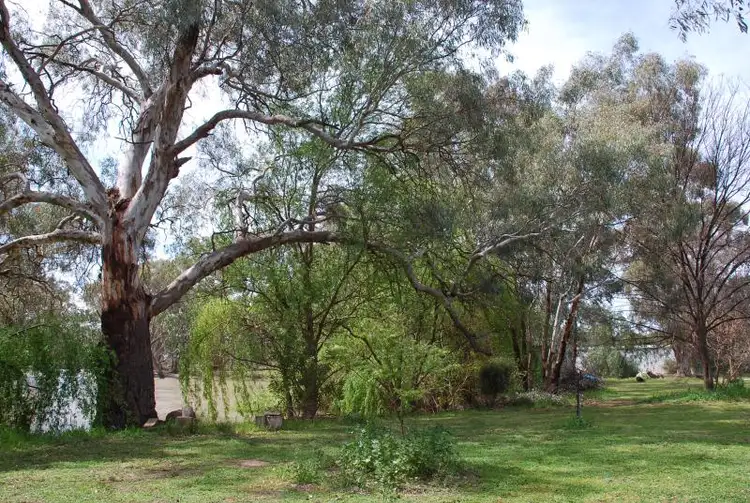 Second view of Homely rural property listing, 53 Brittain Rd, Numurkah VIC 3636