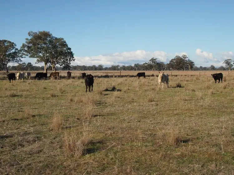 Fifth view of Homely rural property listing, 446 Rushworth-Nagambie Road, Nagambie VIC 3608