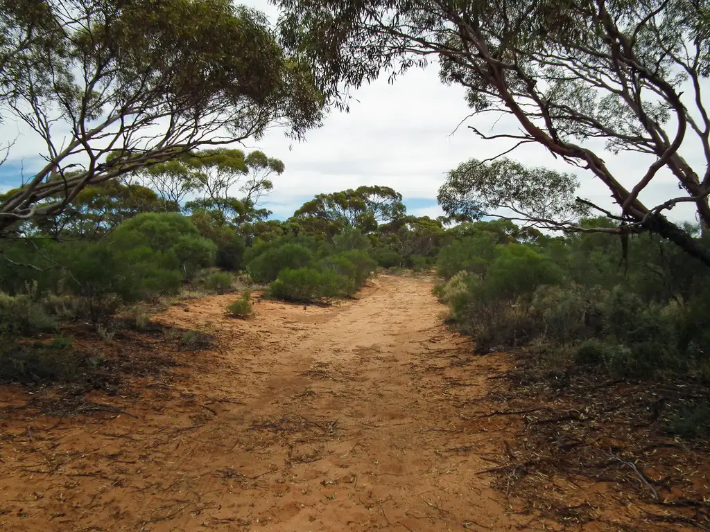 Main view of Homely land listing, Section 386 Ral Ral Avenue, Cooltong SA 5341