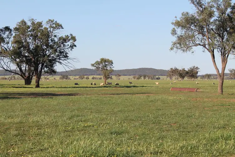Sixth view of Homely rural property listing, - 'Olive Park', Burcher NSW 2671