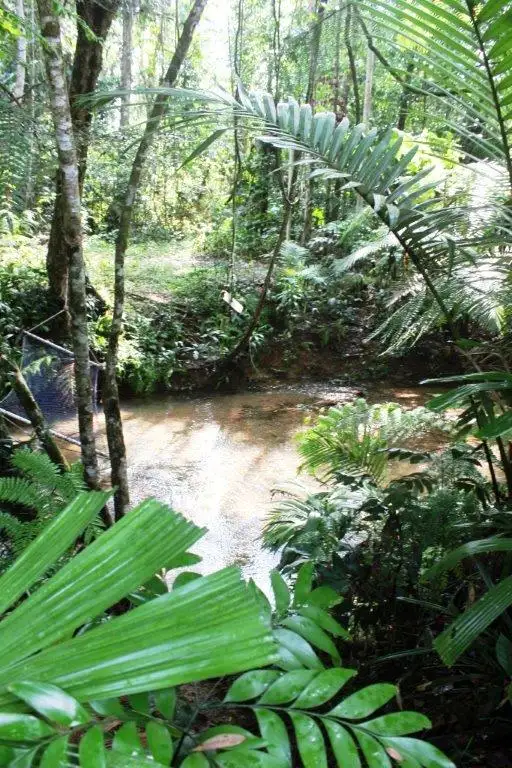 Fifth view of Homely house listing, Lot 324 1547R Cape Trib Road COW BAY, Daintree QLD 4873