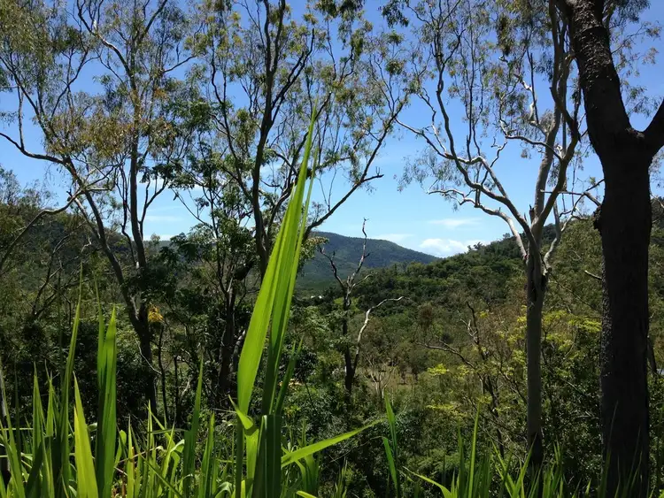 Main view of Homely land listing, 365 Paluma Road, Cannonvale QLD 4802