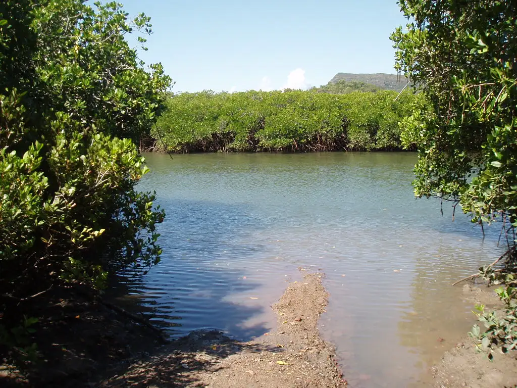 Main view of Homely land listing, 126 Kippen Drive, Ball Bay QLD 4741