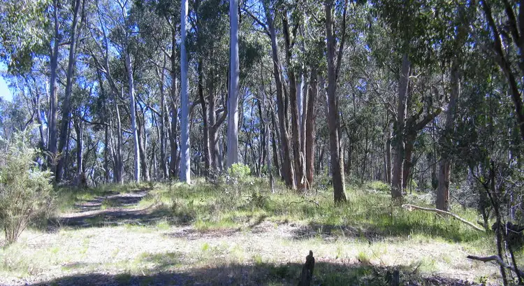 Seventh view of Homely rural property listing, 2751 Corryong Road, Benambra VIC 3900
