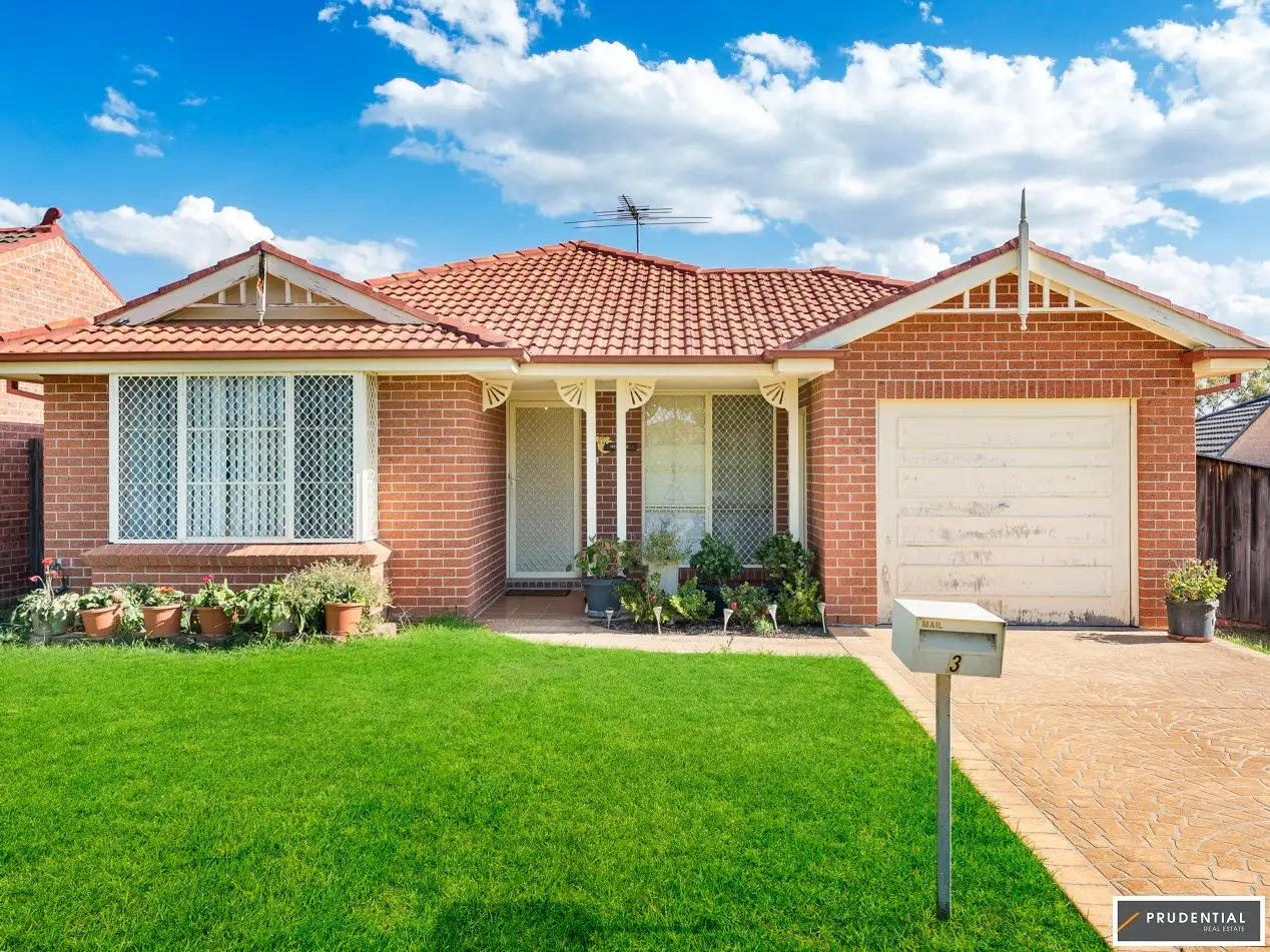 Main view of Homely house listing, 3 Lemon Tree Crescent, Minto NSW 2566