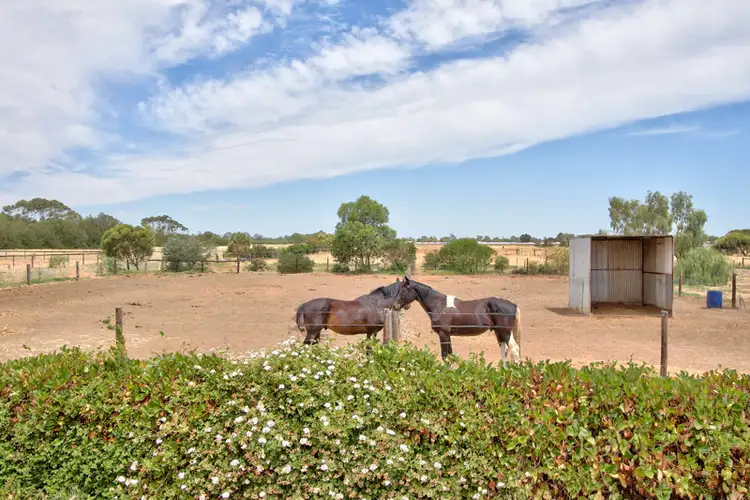 Fifth view of Homely house listing, 8 Gawler River Road, Lewiston SA 5501