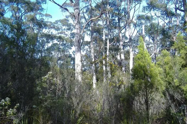 Fifth view of Homely land listing, Lot 38 Sea View Rd, Adventure Bay TAS 7150