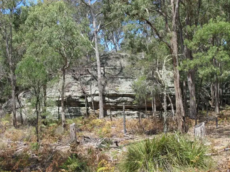 Seventh view of Homely rural property listing, 255 MacArthur Park Road, Mudgee NSW 2850