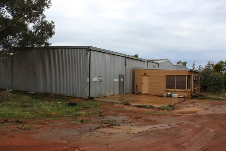 9 Danubin St, Wongan Hills WA 6603