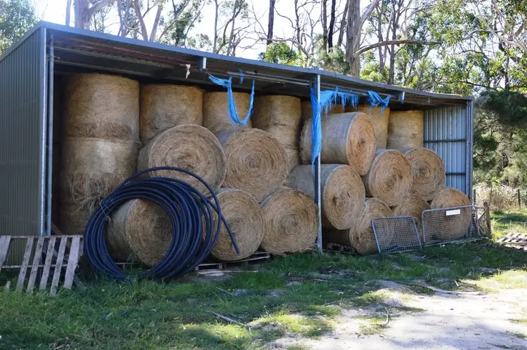 Fifth view of Homely rural property listing, 184 Peacock Road, The Gurdies VIC 3984