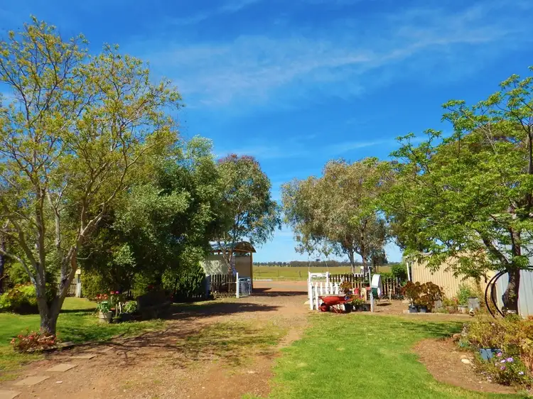 Seventh view of Homely rural property listing, 64R Bellhaven Road, Eumungerie NSW 2831