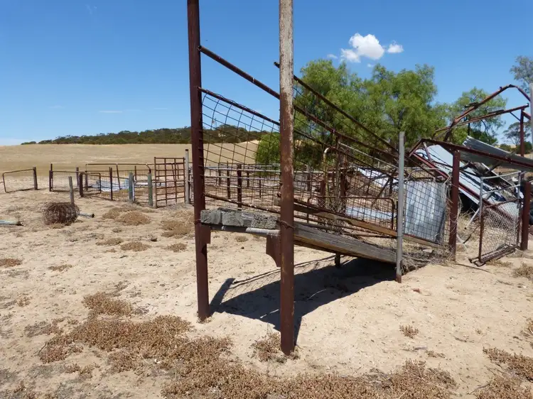 Sixth view of Homely rural property listing, 245 Mallee Hills Road, Lameroo SA 5302