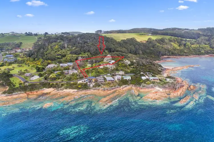 Main view of Homely house listing, 317 Port Road, Boat Harbour Beach TAS 7321