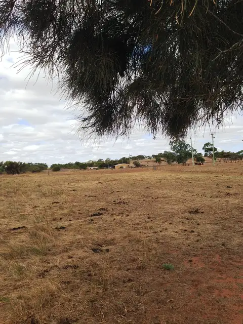 Fifth view of Homely rural property listing, Lot 125 Urch Road, Narra Tarra WA 6532