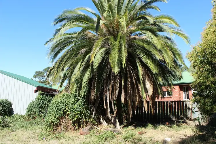 Seventh view of Homely other listing, 20 Cowslip Street, Violet Town VIC 3669