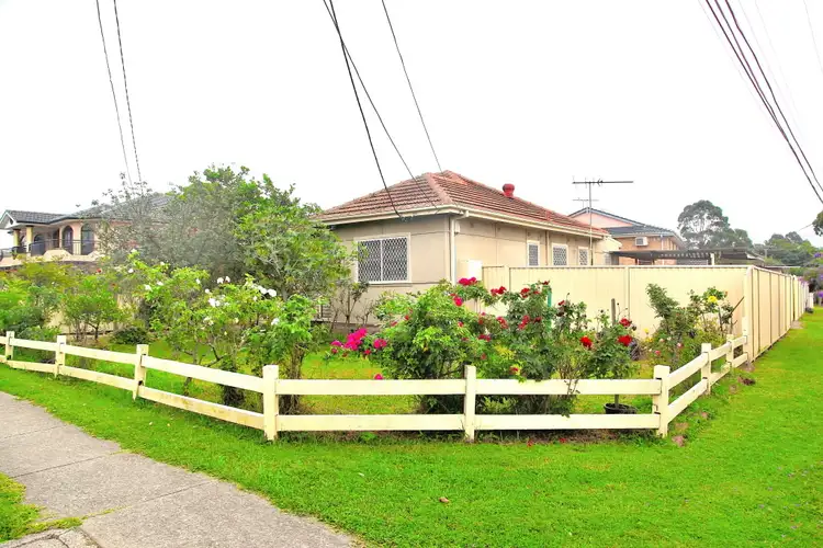 Main view of Homely house listing, 29 Ferngrove Road, Canley Heights NSW 2166