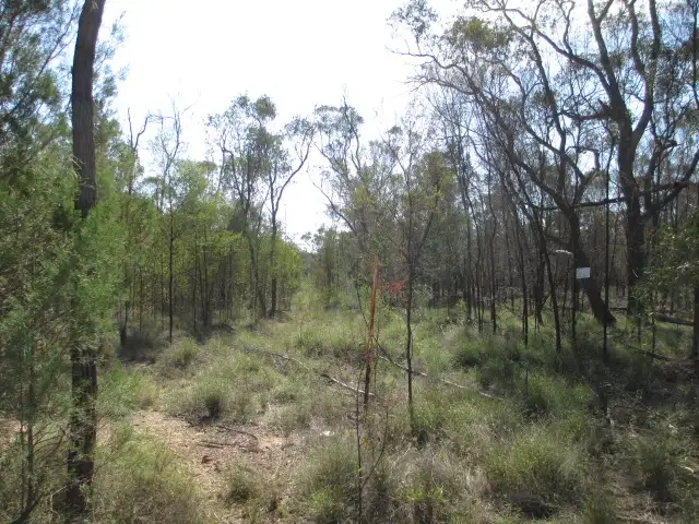 Lot 54 SOUTH ROAD, Tara QLD 4421