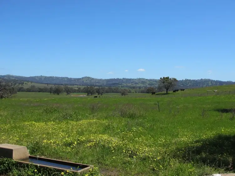 Second view of Homely rural property listing, 4078 Twelve Mile Road, Mudgee NSW 2850