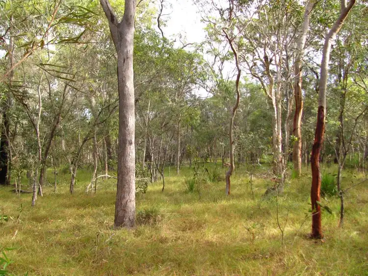 Third view of Homely rural property listing, Lot 175 Freshwater Court, Deepwater QLD 4674
