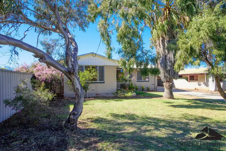 12 Craig Court, Spalding WA 6530