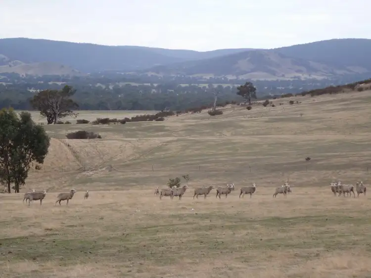 Main view of Homely rural property listing, 0 Government Road, Elmhurst VIC 3469