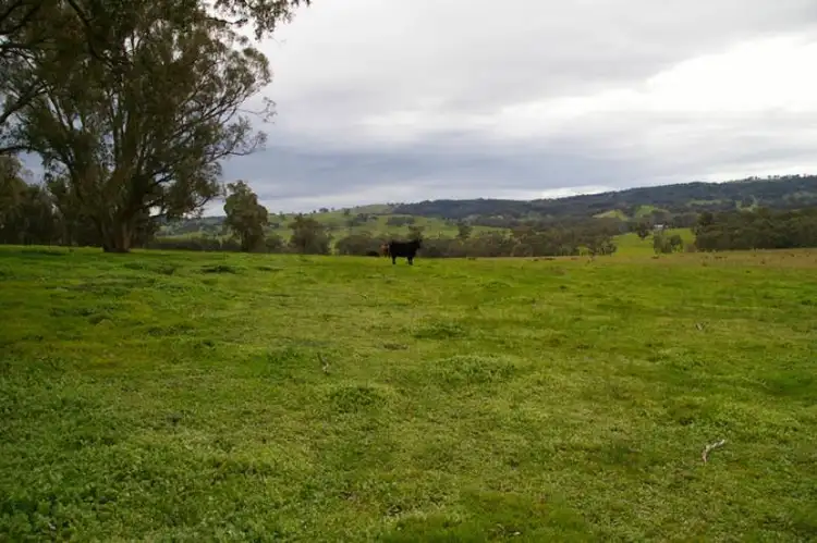 Third view of Homely rural property listing, 280 Shaws road, Merton VIC 3715
