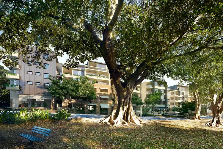 D334/810-822 Elizabeth Street, Waterloo NSW 2017